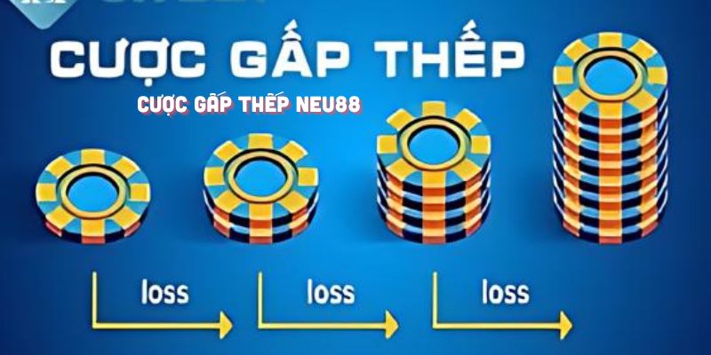 Tân binh không nên gia nhập cược gấp thếp